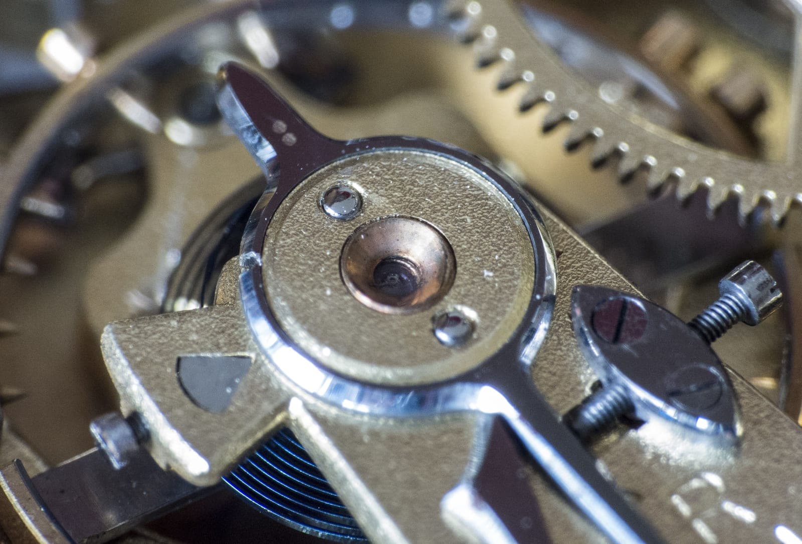 A mechanical watch movement photographed close up