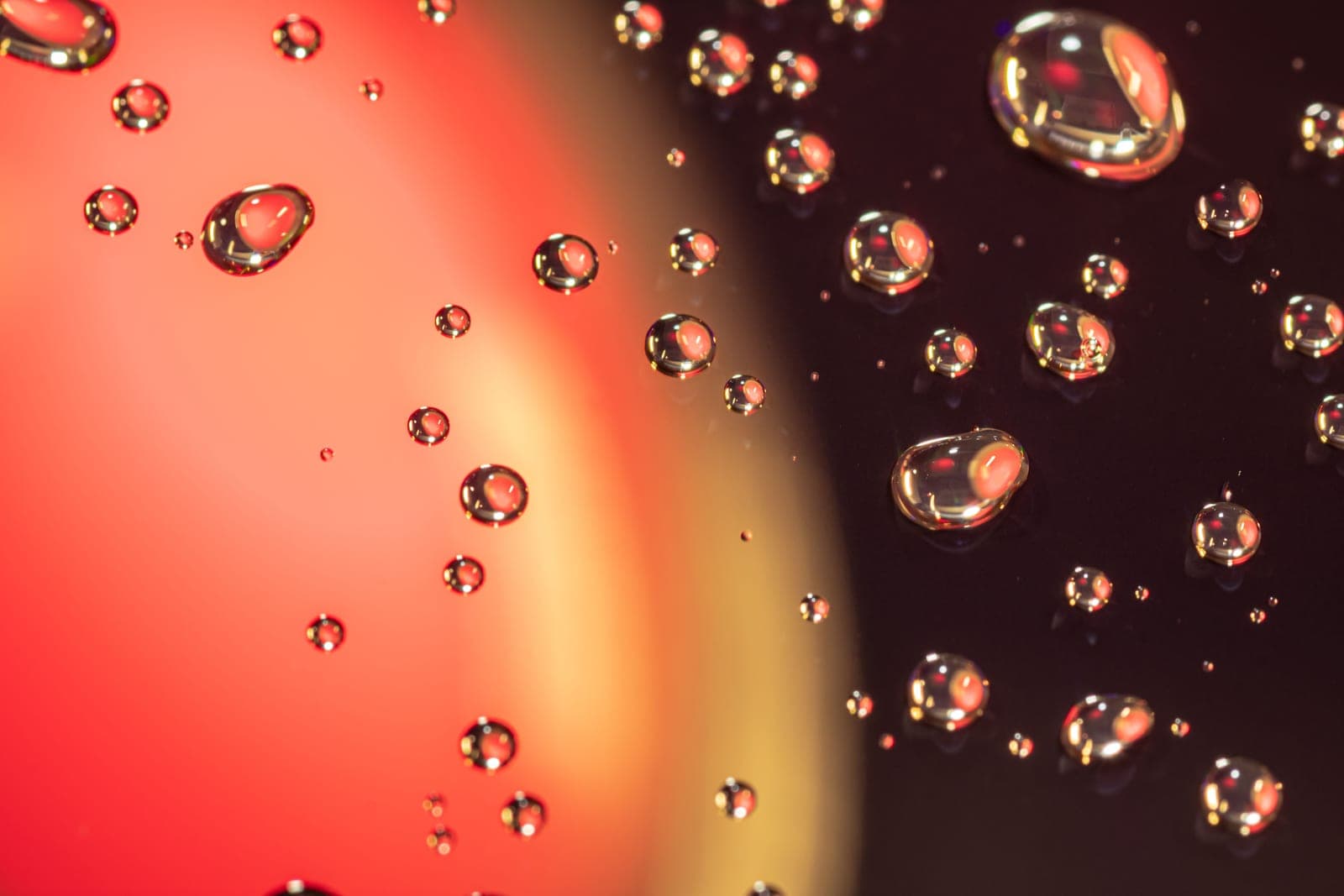Light refracting through a curved piece of glass